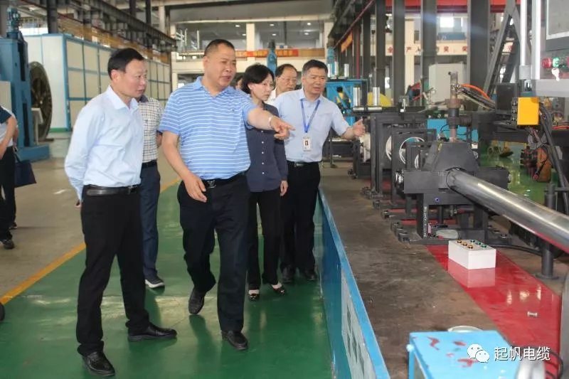池州市委書記王宏等參觀調(diào)研起帆電纜總部 池州市委書記王宏等參觀調(diào)研起帆電纜總部